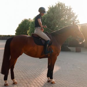 A horse woman is on her horse outside the stable